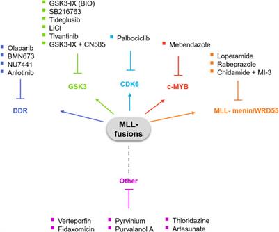 Drug Repurposing for Targeting Acute Leukemia With KMT2A (MLL)—Gene Rearrangements